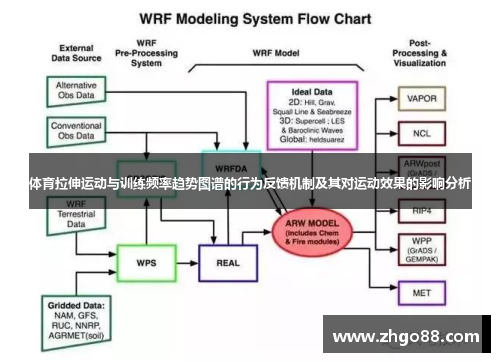 体育拉伸运动与训练频率趋势图谱的行为反馈机制及其对运动效果的影响分析